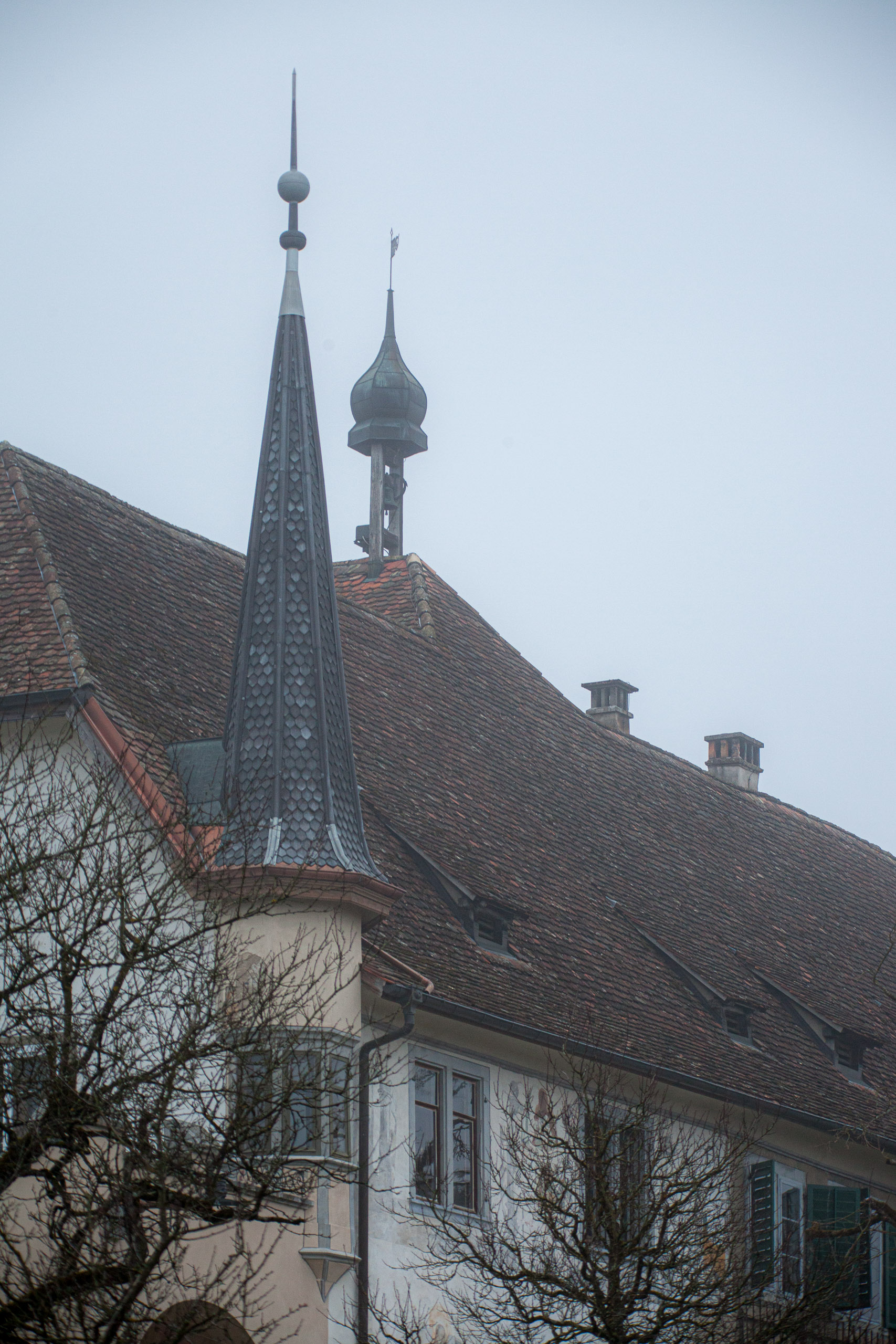 20120225075557 IMG 3469